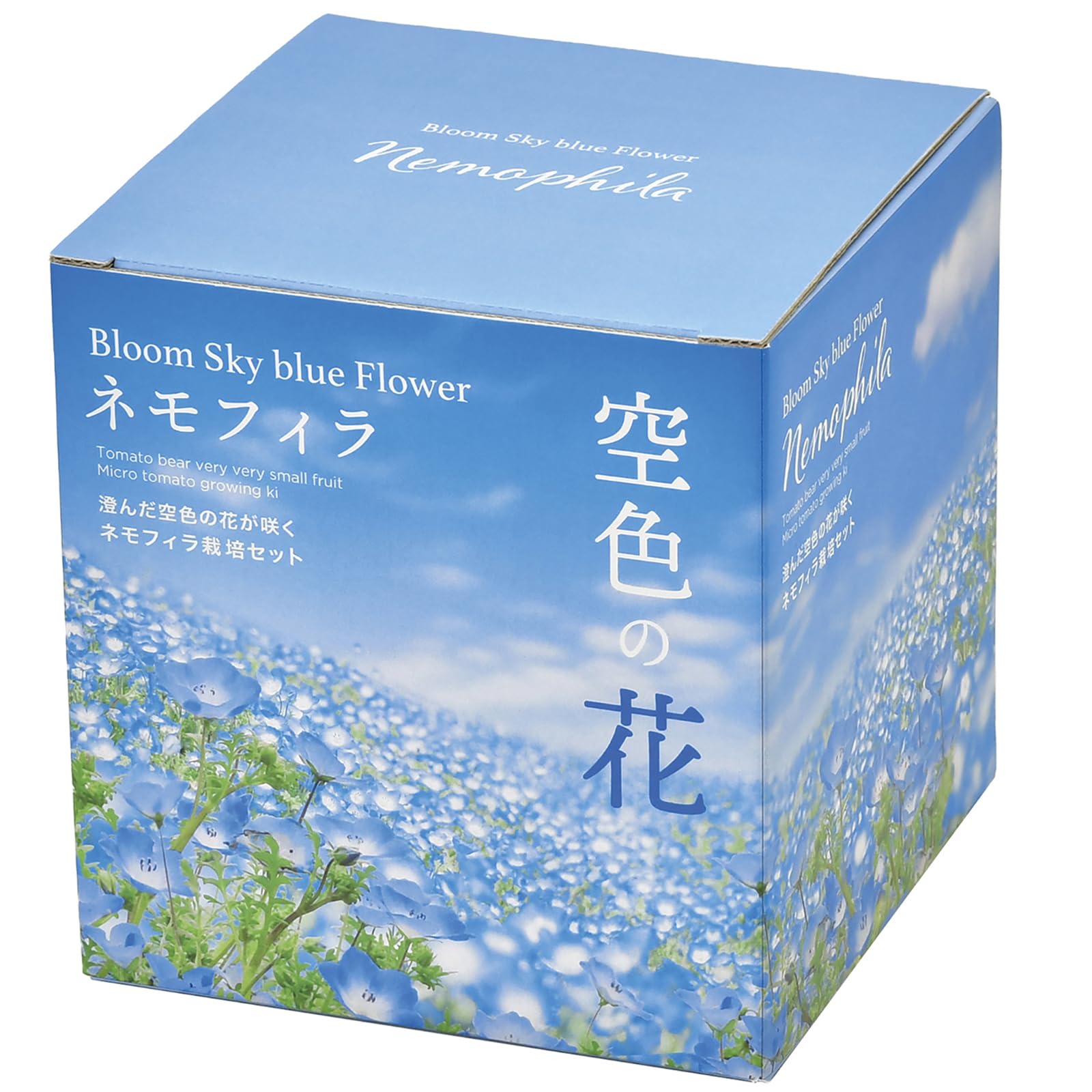 ねもふぃら購入ページ ネモフィラ 苗 Zシリーズ 青 シルバーリーフ 3.5号 春の花